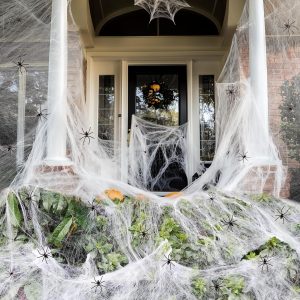300 sq ft Spider Web, 10 Fake Spiders, Indoor & Outdoor